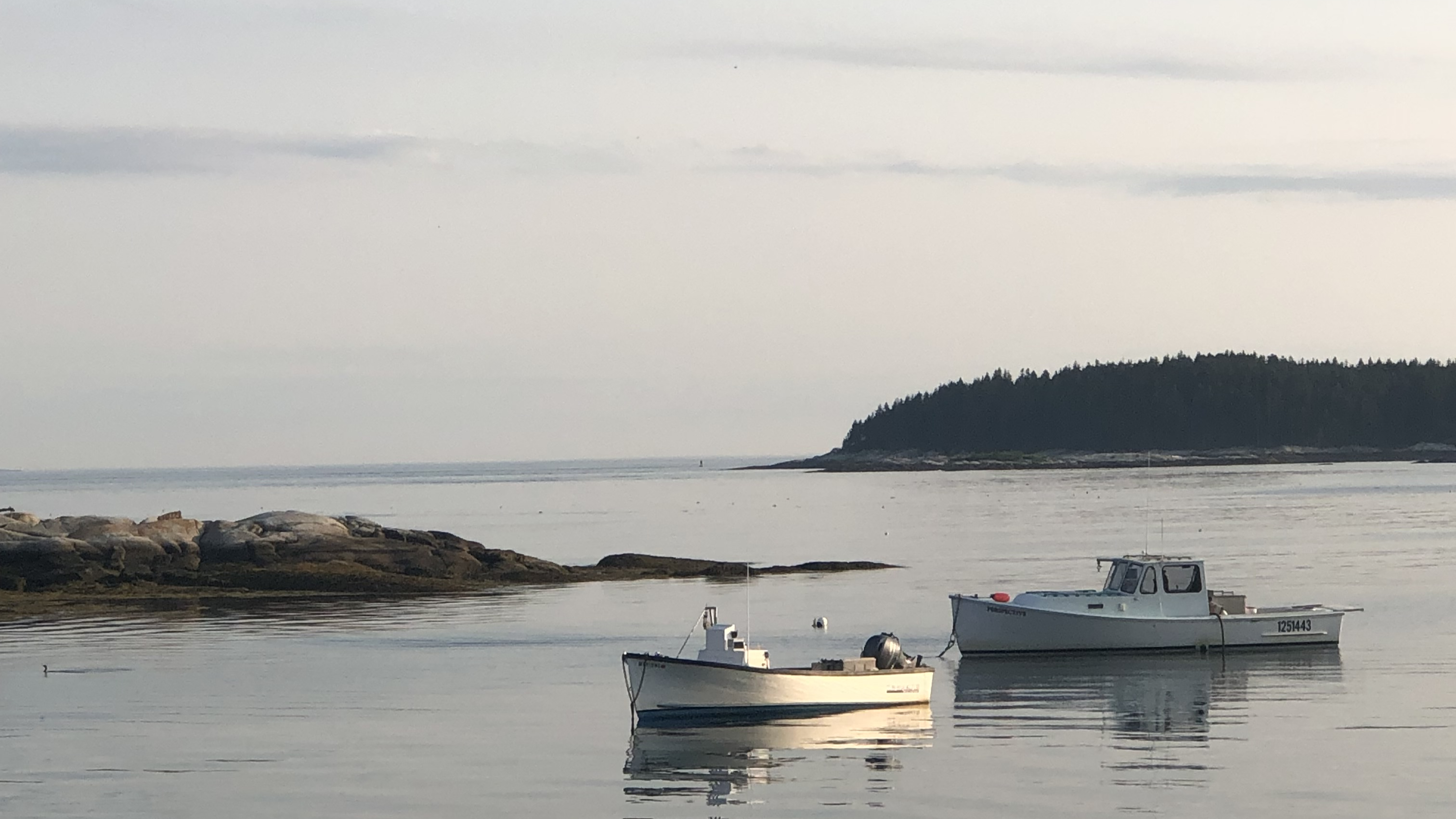 The coast of East Boothbay, Maine