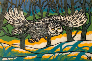 Snowy Owl