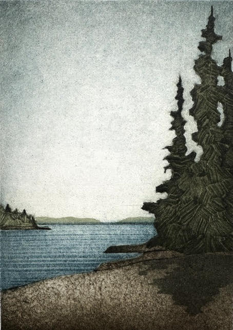 Spruce & Sky