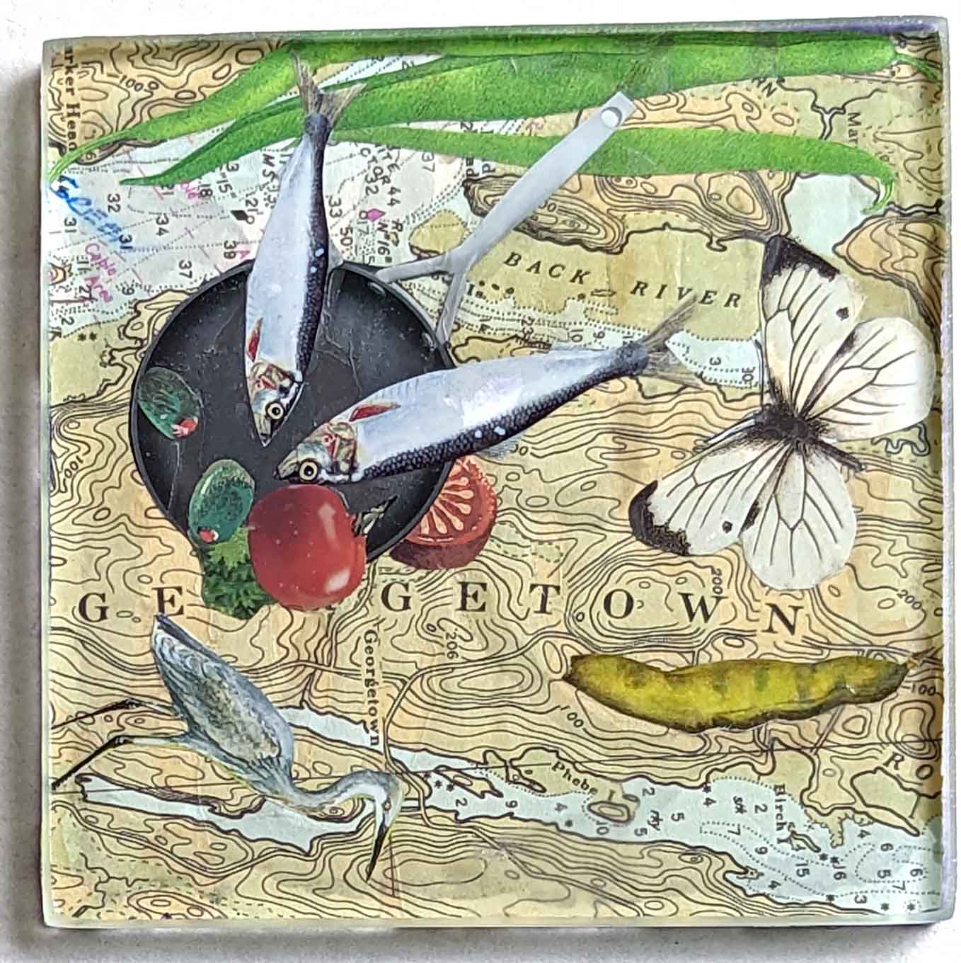 Maine Shoreline Coasters