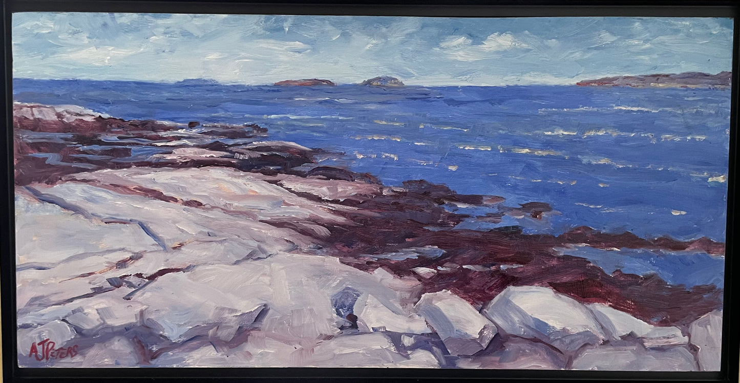 Sun Bleached Rocks